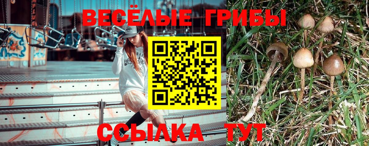 Галлюциногенные грибы ЛСД Армавир